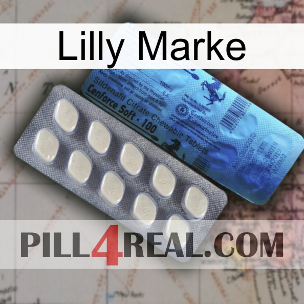 Lilly Brand 34.jpg